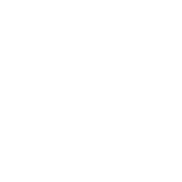 world globe icon