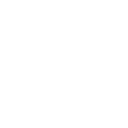 happy face icon